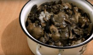 Ukiseljene gljive za zimu - najukusniji recepti