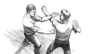 Grundprinzipien des Wing Chun